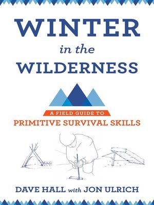 cover image of Winter in the Wilderness
